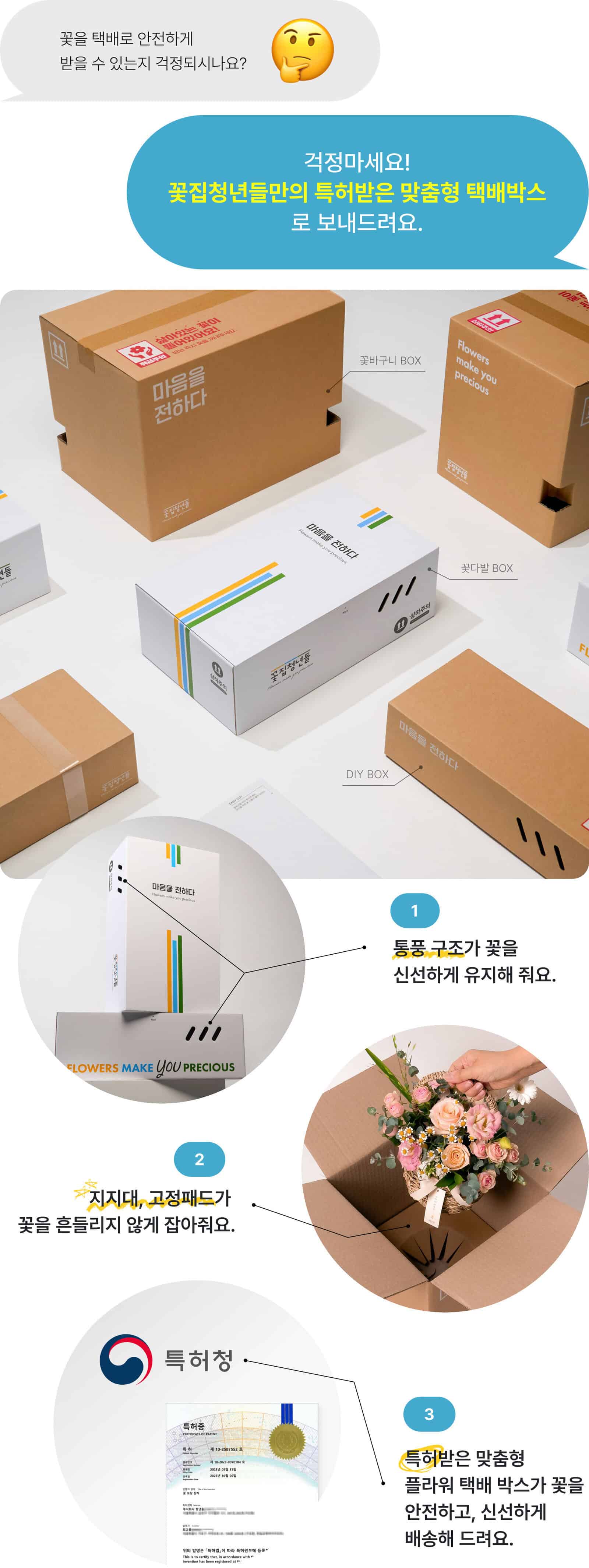바이올렛 벨벳