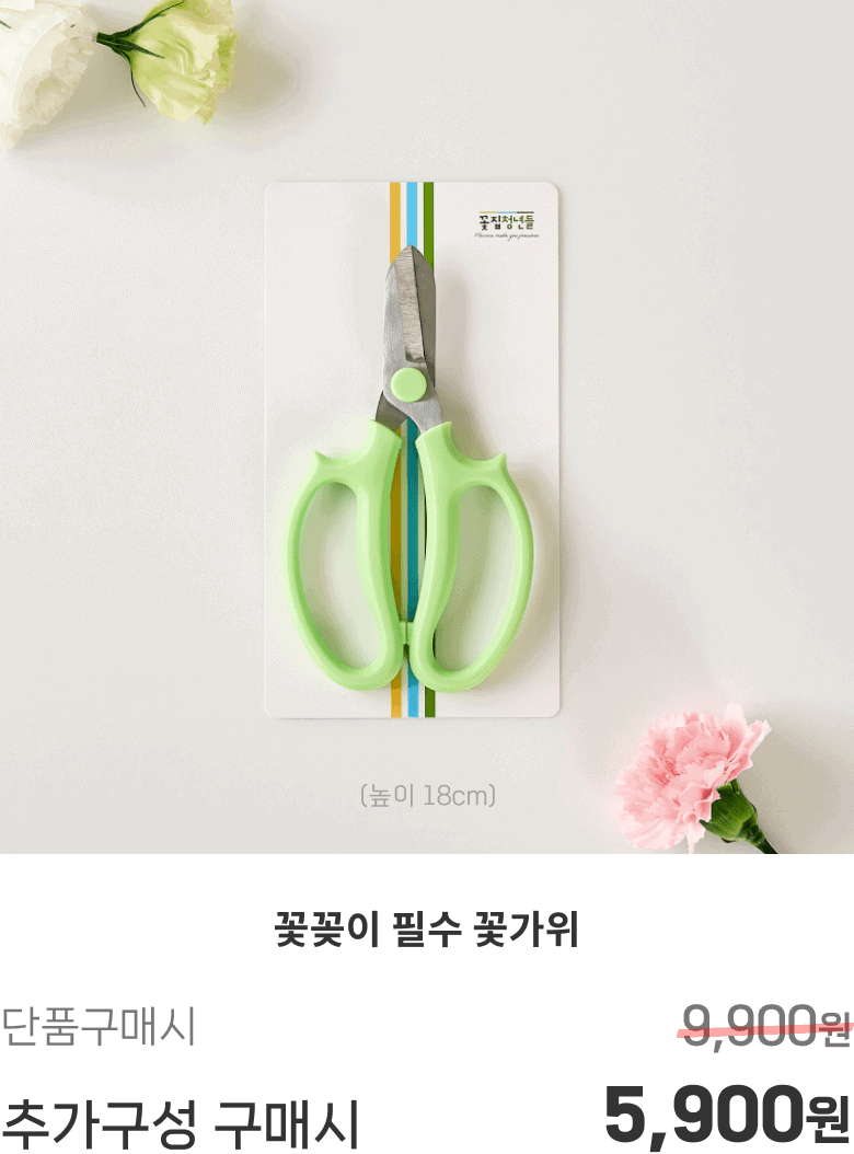 바이올렛 벨벳